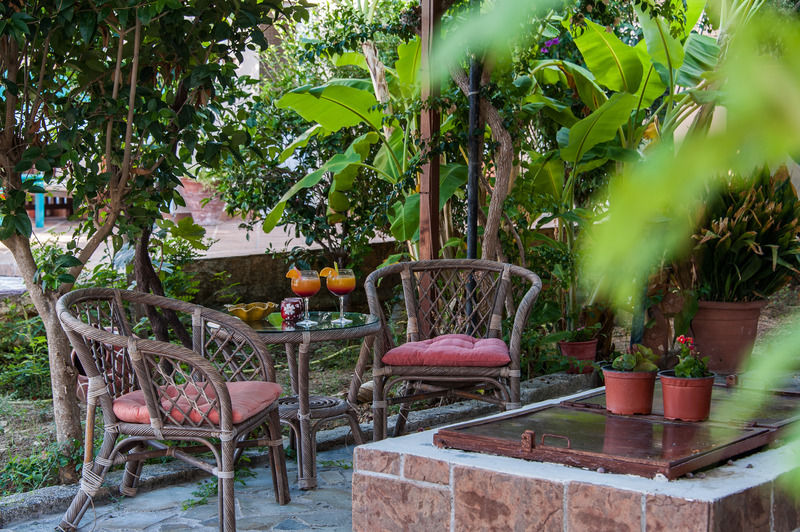 Zante Nest Studios & Apartments Alykanas  Esterno foto